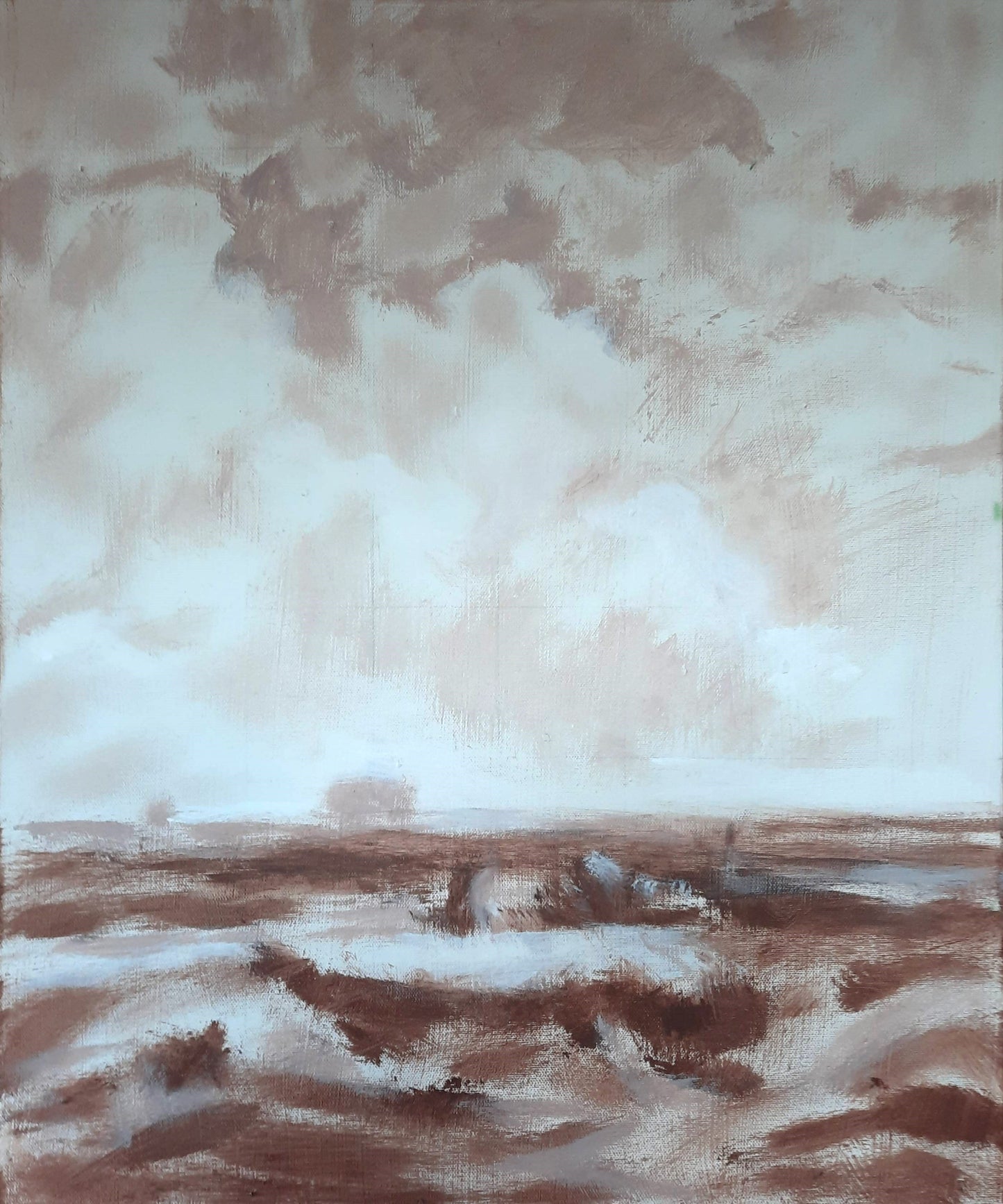 View of Haarlem with Bleaching Fields